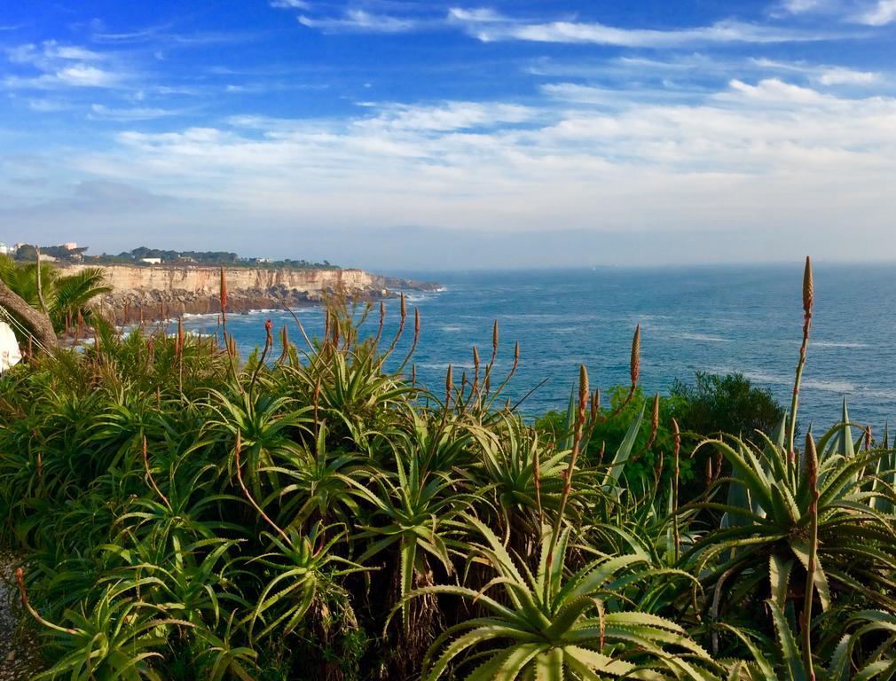 Villa Dos Teixos Cascais Buitenkant foto